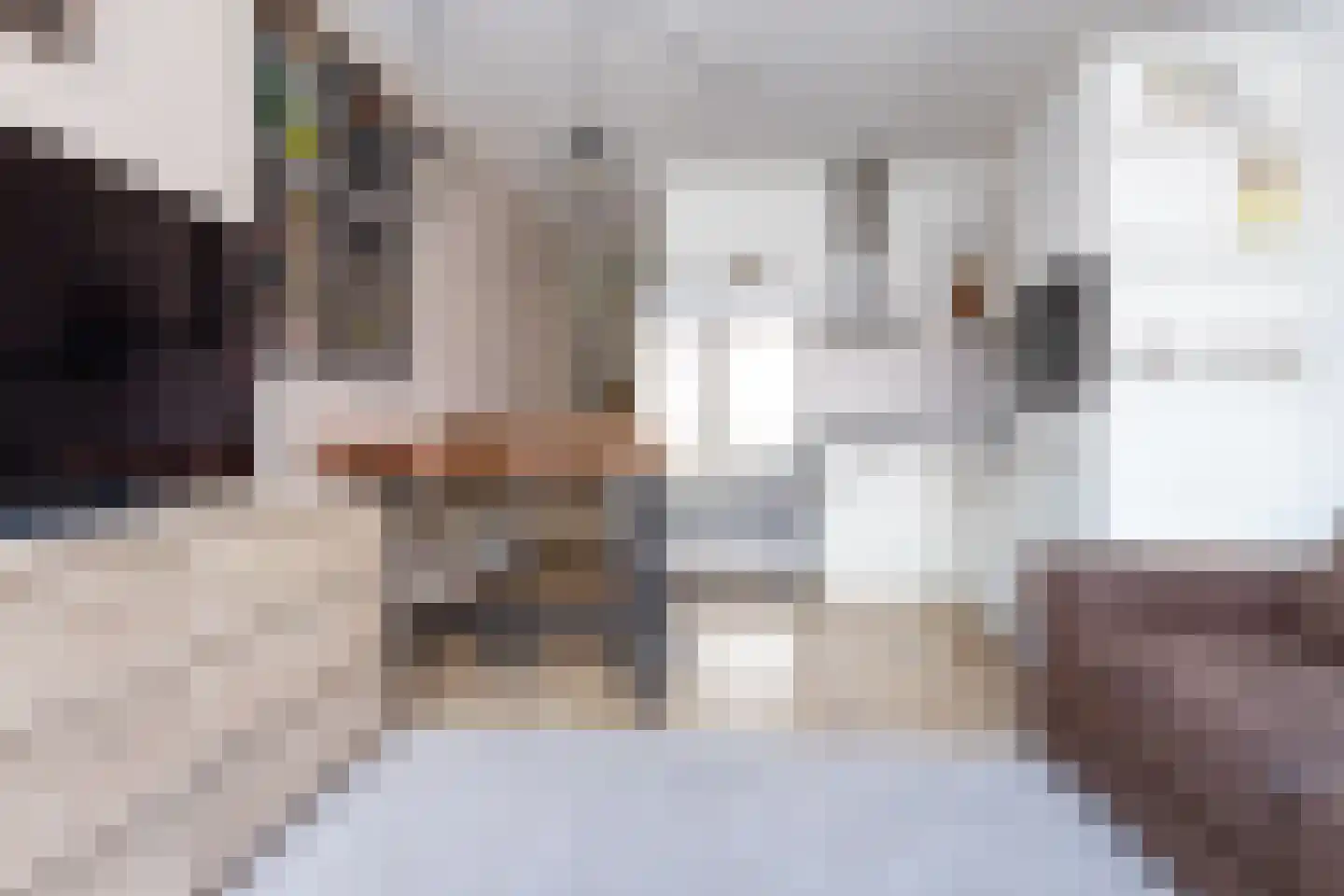 Coremolen 5 M14 Noordwijkerhout thumbnail 12
