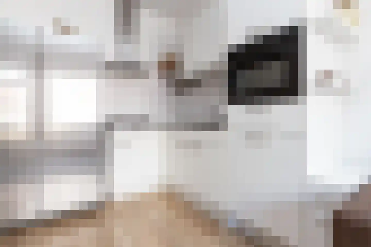 Coremolen 5 M14 Noordwijkerhout thumbnail 13