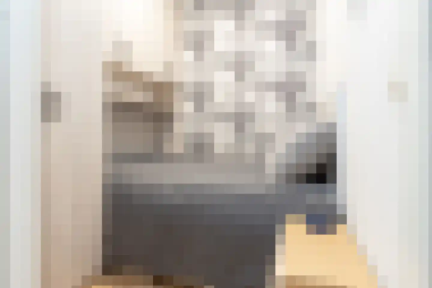 Coremolen 5 M14 Noordwijkerhout thumbnail 16