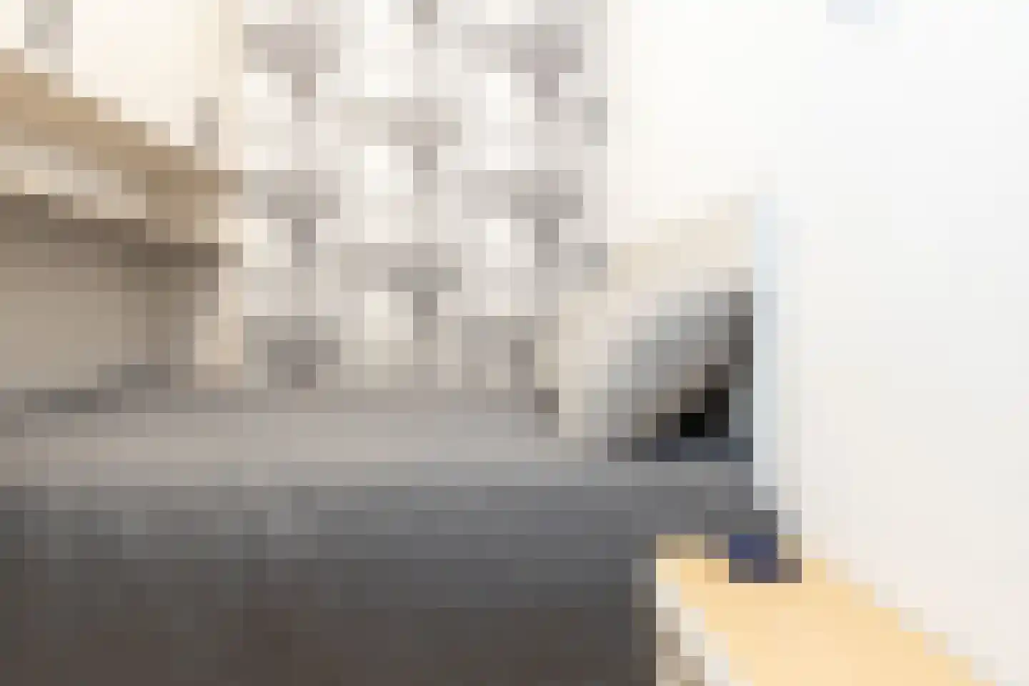 Coremolen 5 M14 Noordwijkerhout thumbnail 17