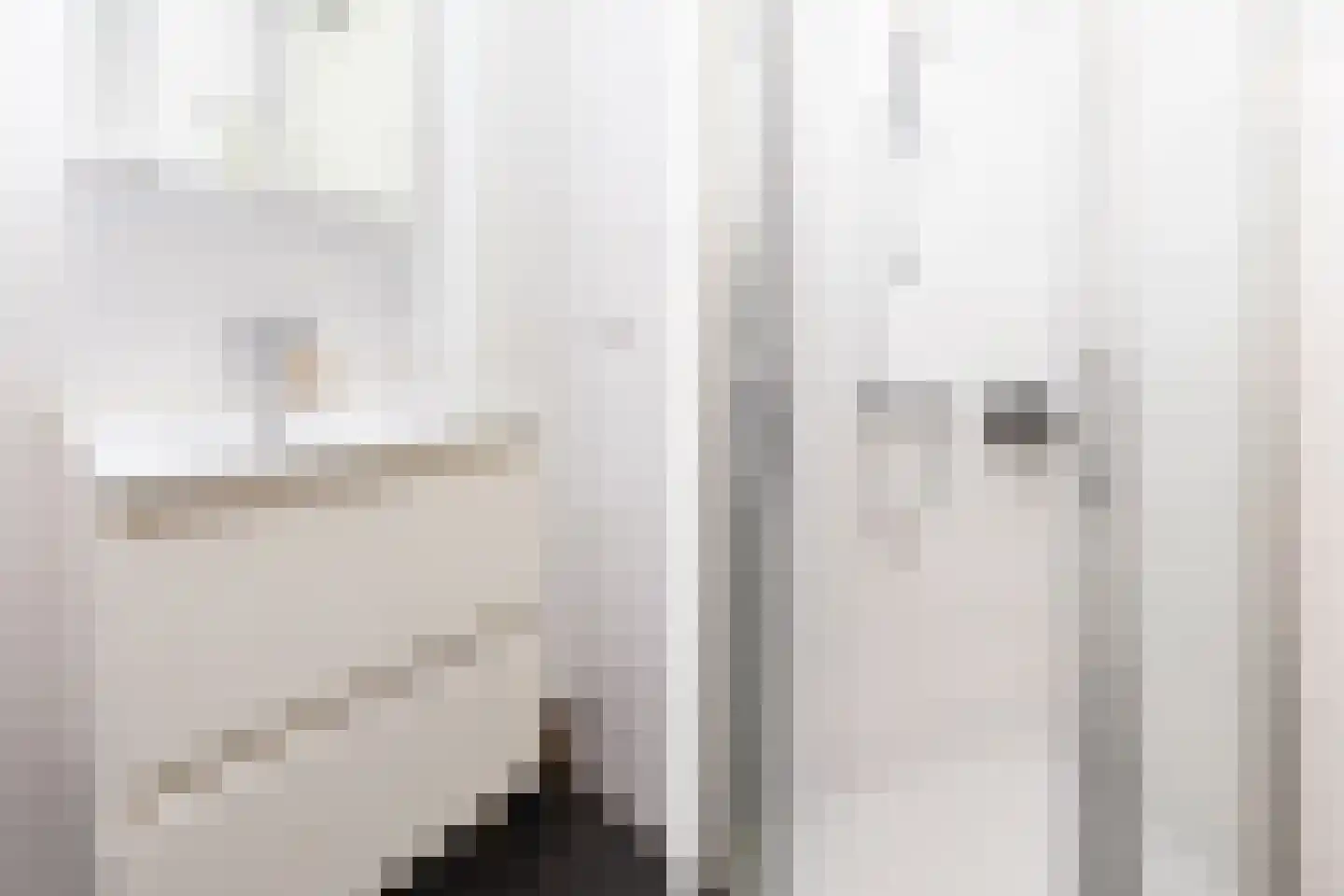Coremolen 5 M14 Noordwijkerhout thumbnail 20