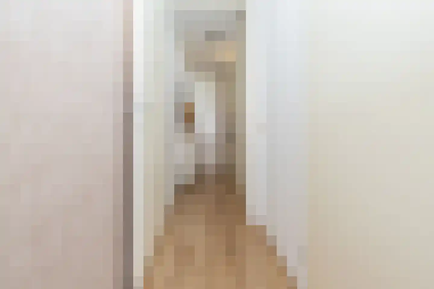 Coremolen 5 M14 Noordwijkerhout thumbnail 8