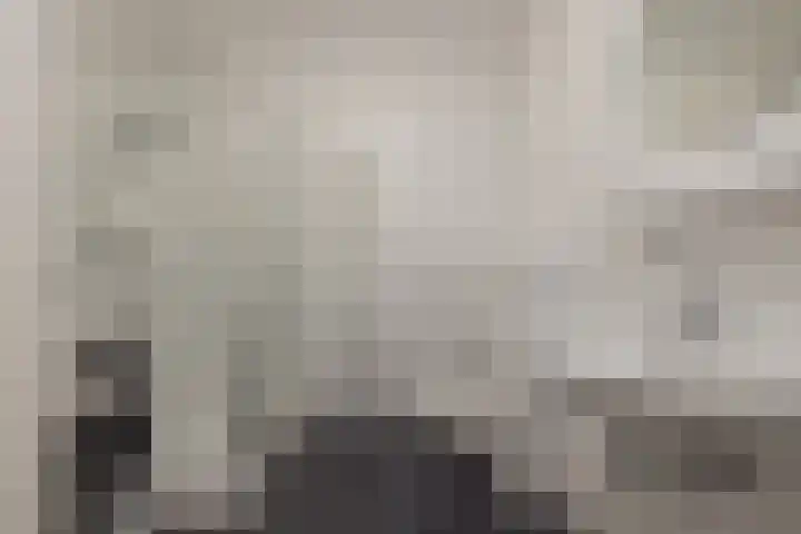 Coremolen 5 M16 Noordwijkerhout thumbnail 16