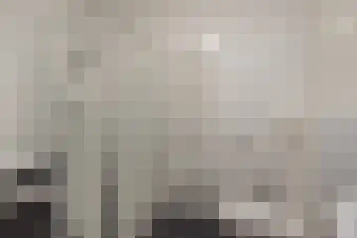 Coremolen 5 M16 Noordwijkerhout thumbnail 17