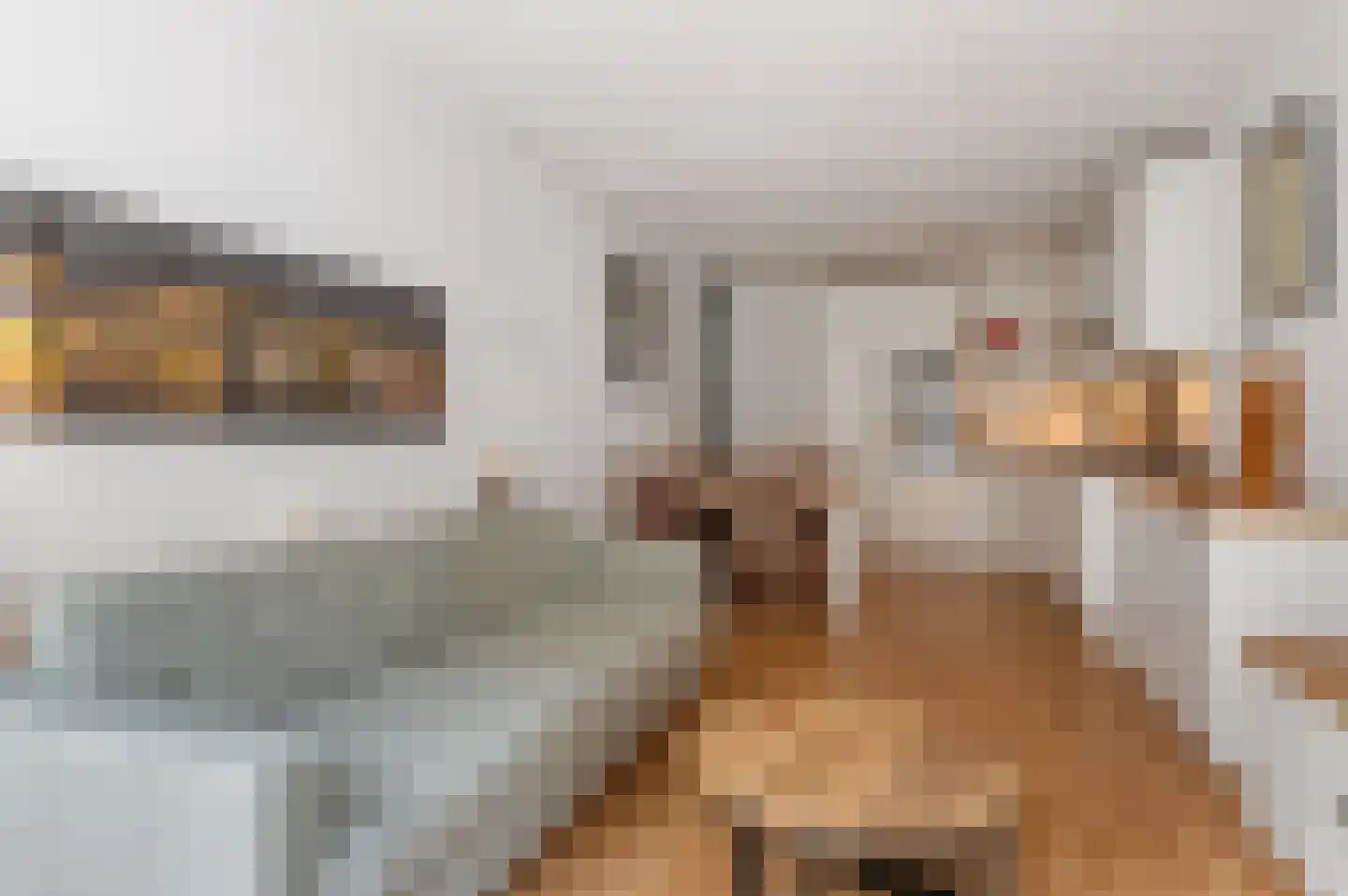 Coremolen 5 M17 Noordwijkerhout thumbnail 4