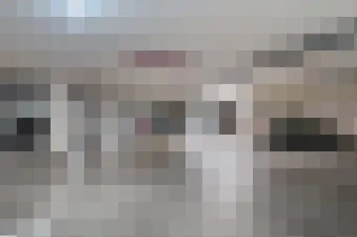 Coremolen 5 M19 Noordwijkerhout thumbnail 17