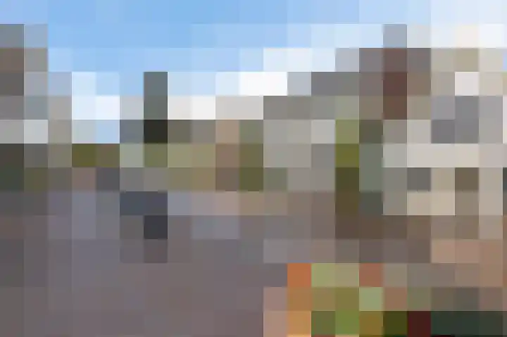 Coremolen 5 M19 Noordwijkerhout thumbnail 19