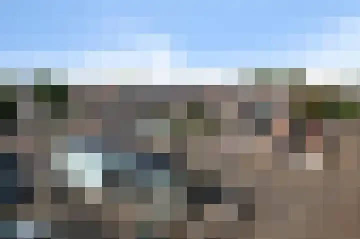 Coremolen 5 M19 Noordwijkerhout thumbnail 20