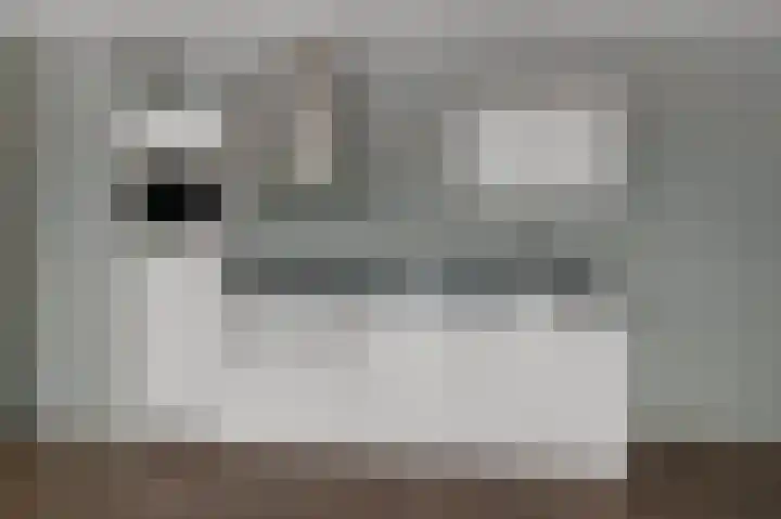 Coremolen 5 M19 Noordwijkerhout thumbnail 4