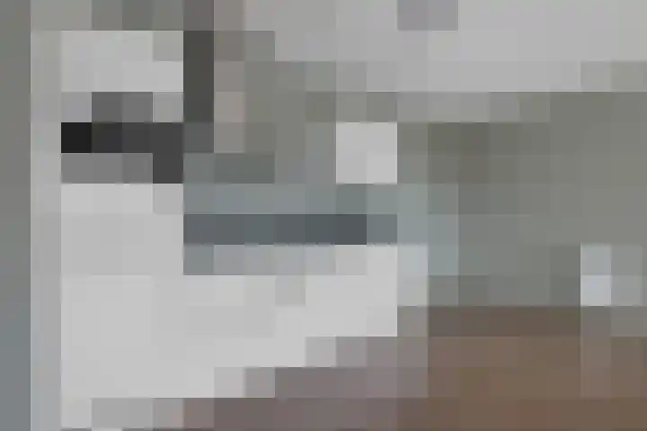 Coremolen 5 M19 Noordwijkerhout thumbnail 5