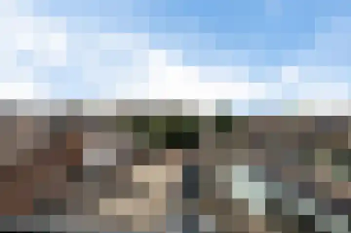Coremolen 5 M19 Noordwijkerhout thumbnail 7