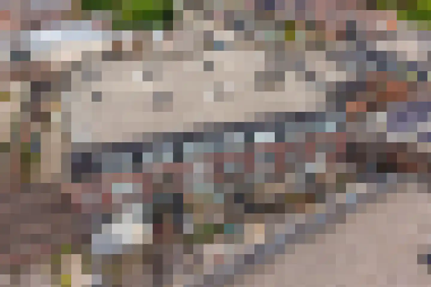 Coremolen 5 M26 Noordwijkerhout thumbnail 20