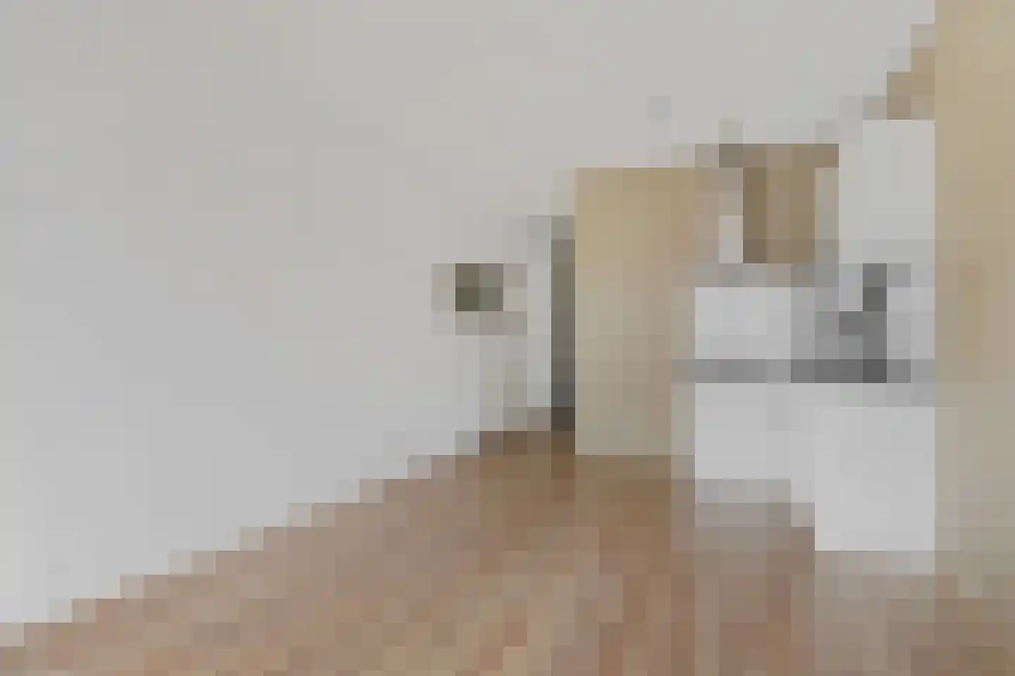 Coremolen 5 M26 Noordwijkerhout thumbnail 4