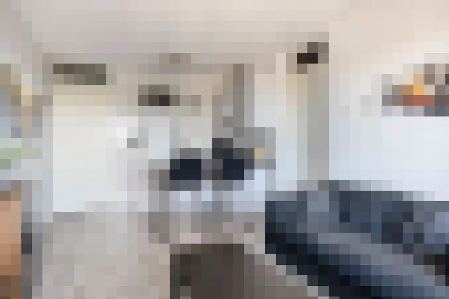 Coremolen 5 M32 Noordwijkerhout thumbnail 14
