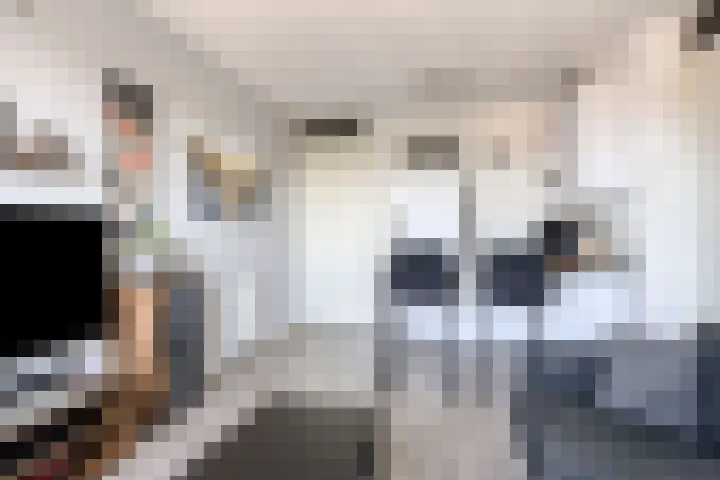 Coremolen 5 M32 Noordwijkerhout thumbnail 15