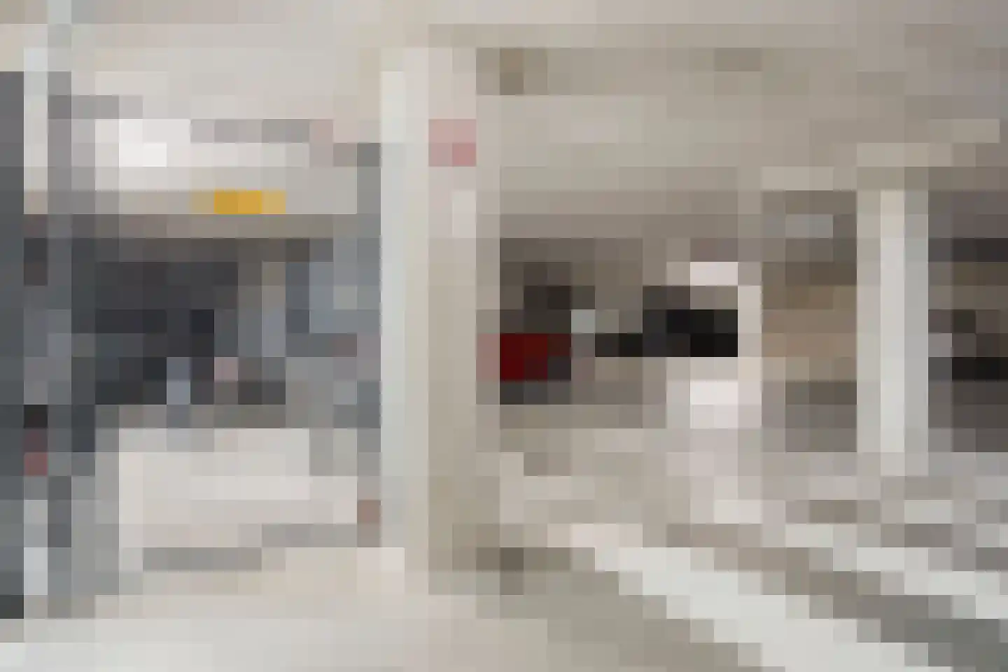 Coremolen 5 M32 Noordwijkerhout thumbnail 23