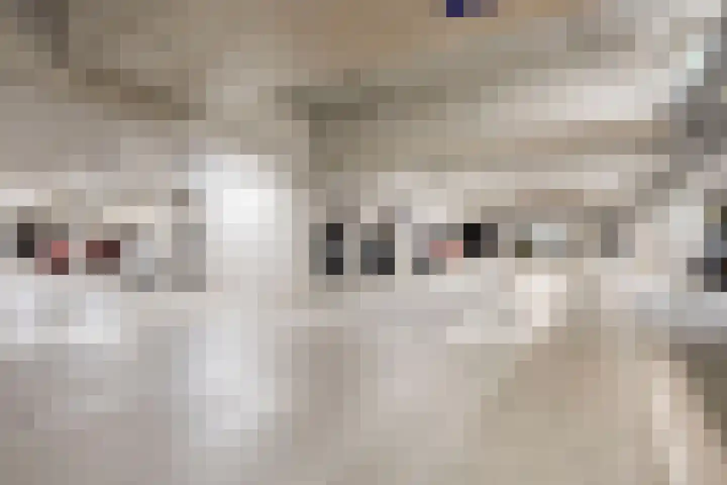 Coremolen 5 M32 Noordwijkerhout thumbnail 24