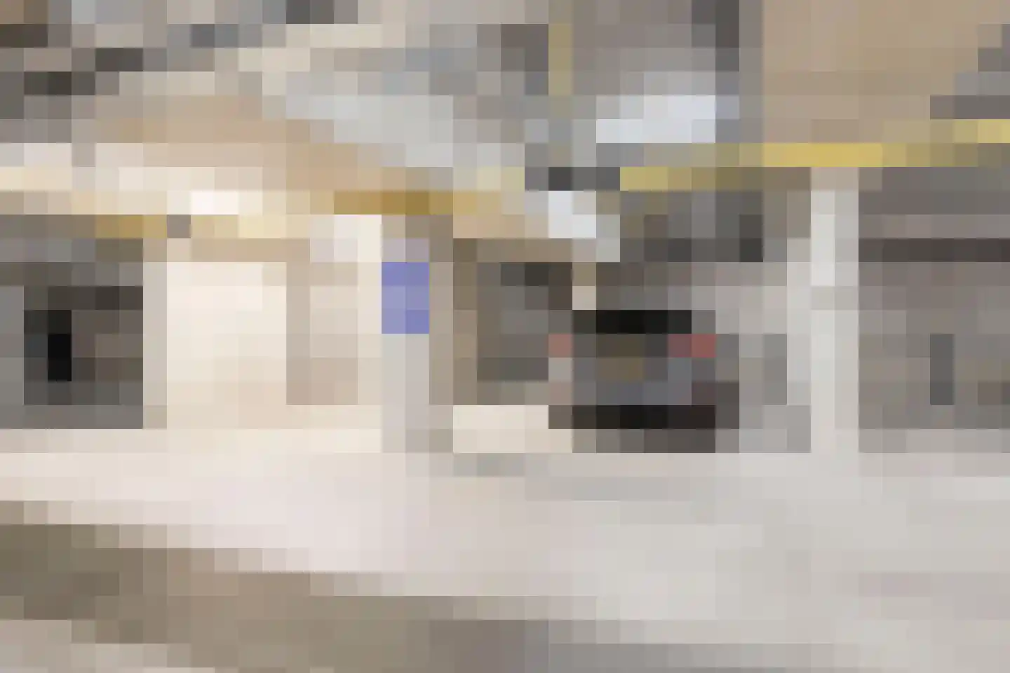 Coremolen 5 M32 Noordwijkerhout thumbnail 25