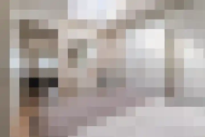 Coremolen 5 M34 Noordwijkerhout thumbnail 10