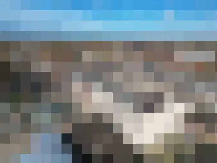 Coremolen 5 M34 Noordwijkerhout thumbnail 22