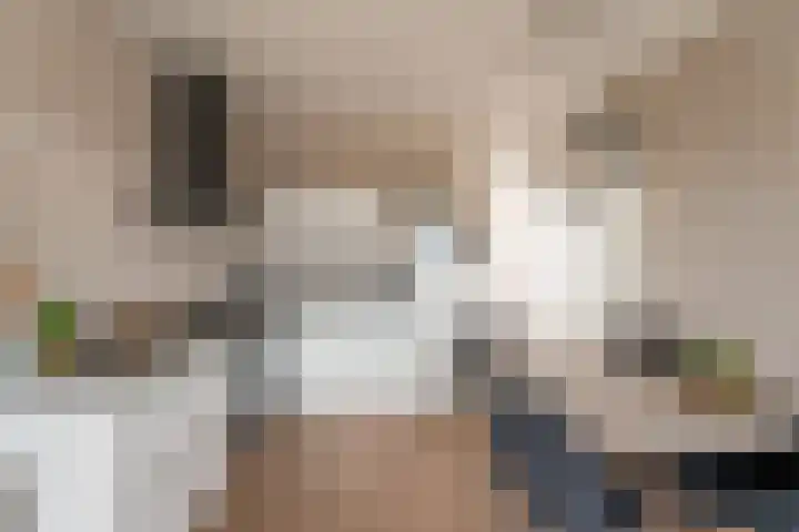 Coremolen 5 M34 Noordwijkerhout thumbnail 6