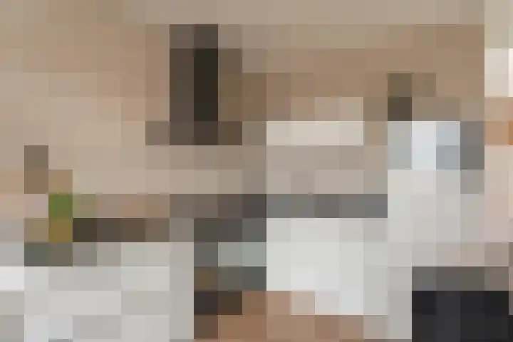 Coremolen 5 M34 Noordwijkerhout thumbnail 7