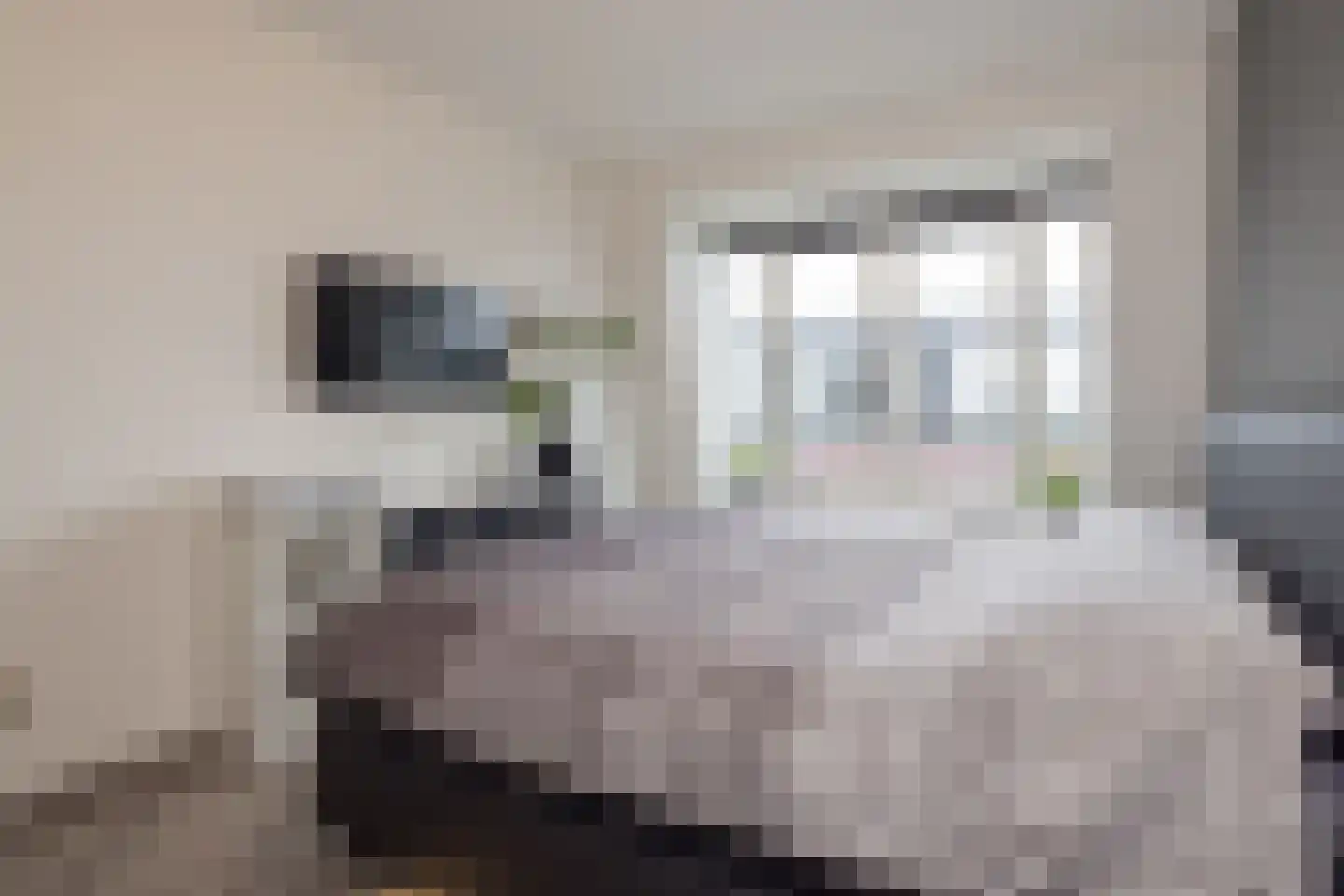 Coremolen 5 M39 Noordwijkerhout thumbnail 13