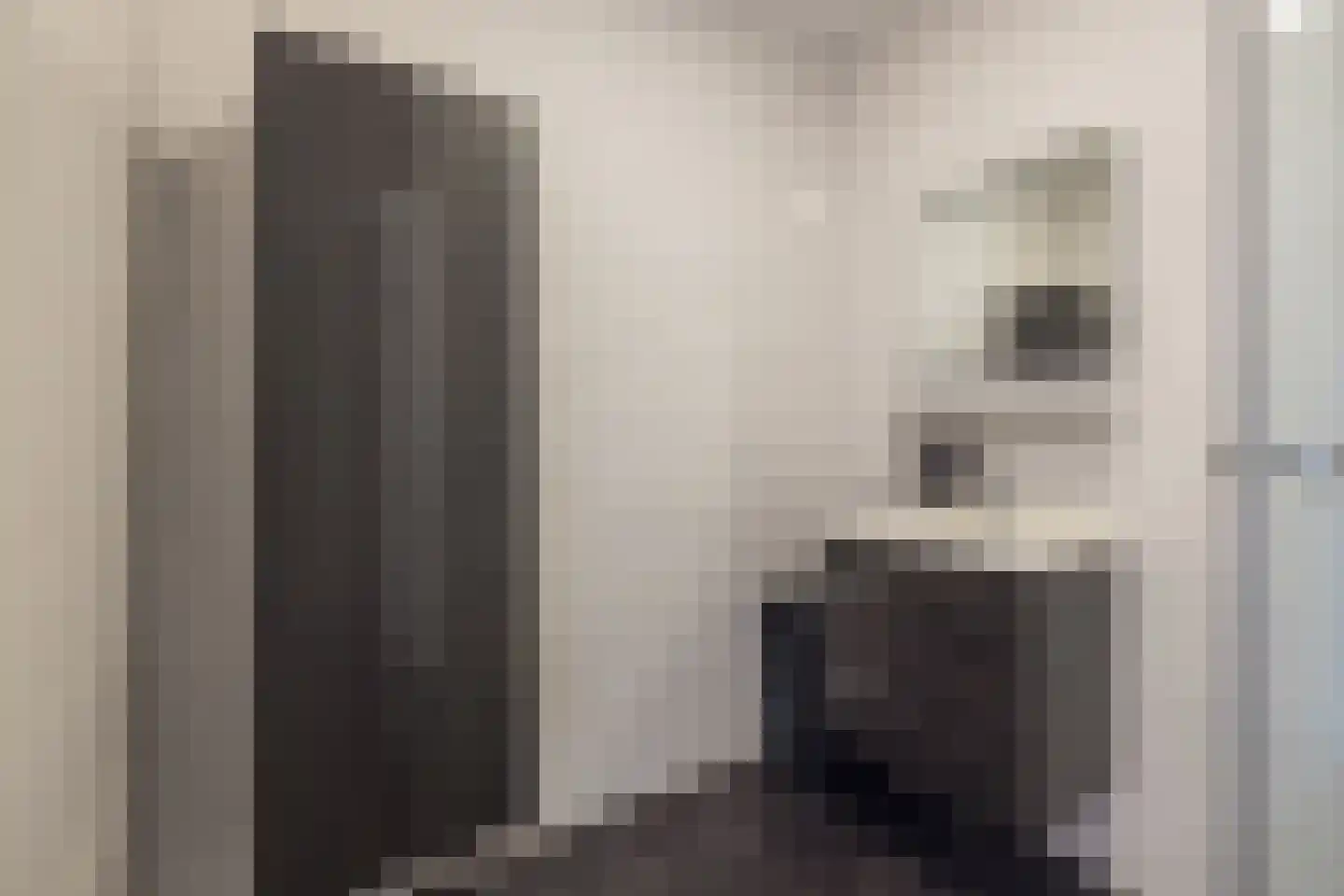Coremolen 5 M39 Noordwijkerhout thumbnail 18