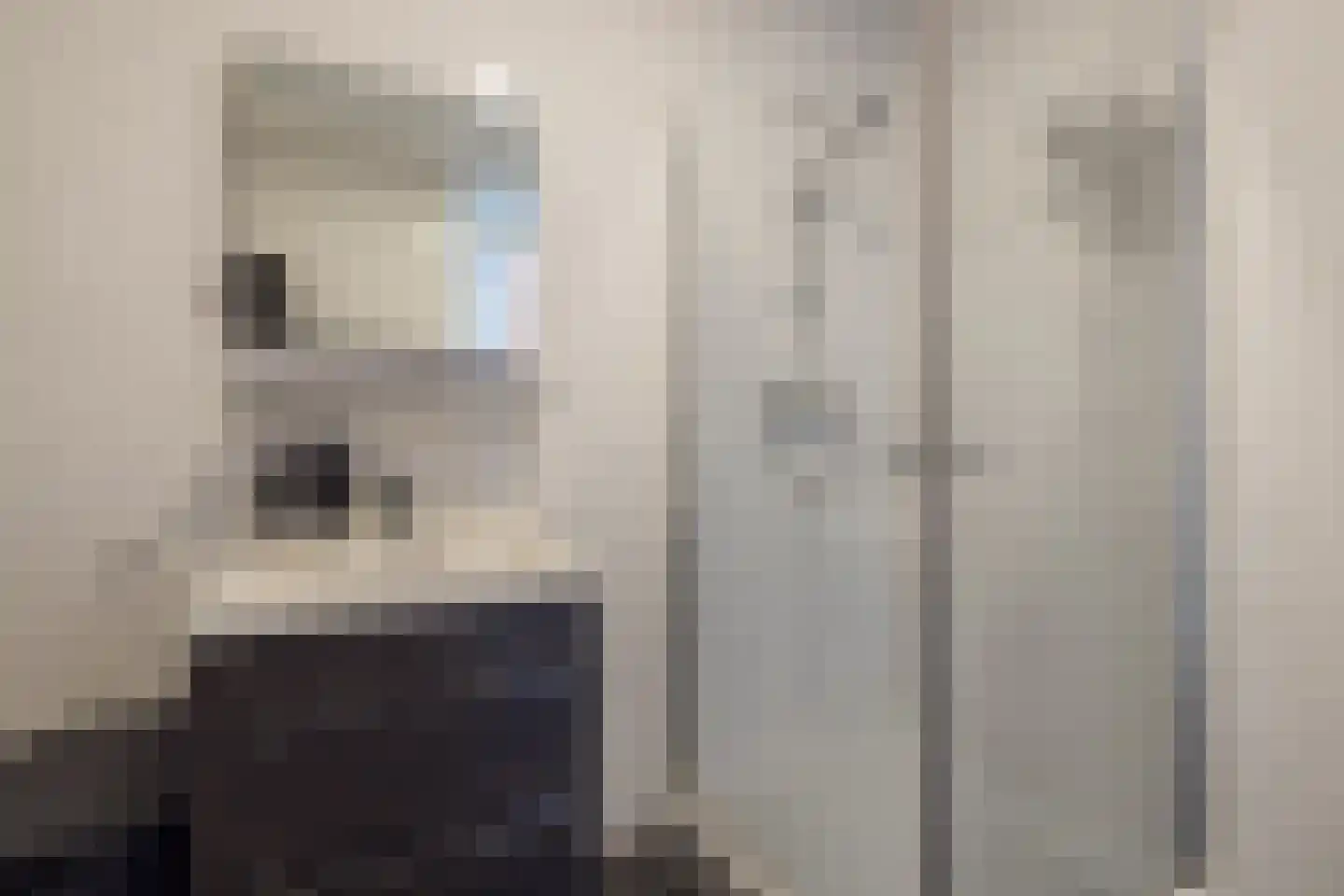 Coremolen 5 M39 Noordwijkerhout thumbnail 19