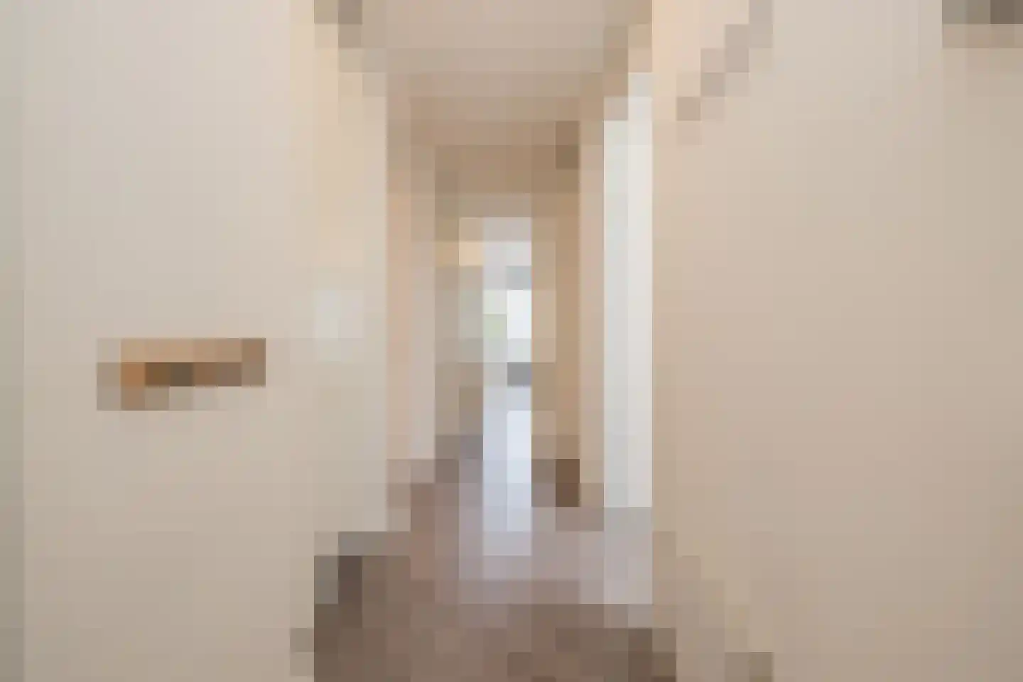 Coremolen 5 M39 Noordwijkerhout thumbnail 5