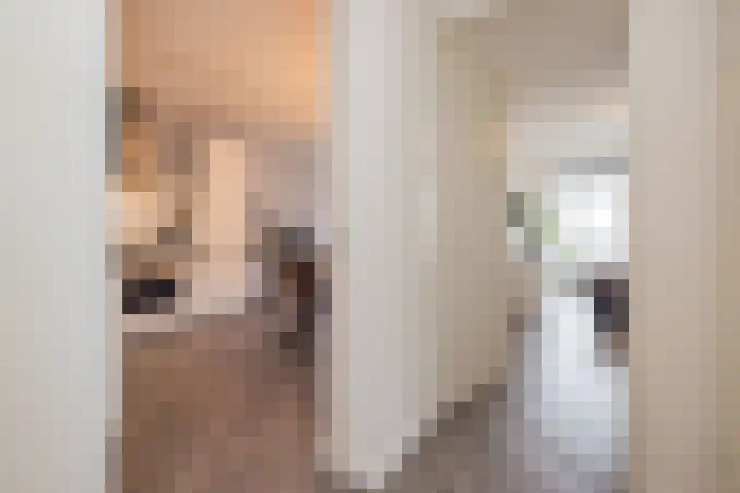 Coremolen 5 M39 Noordwijkerhout thumbnail 6
