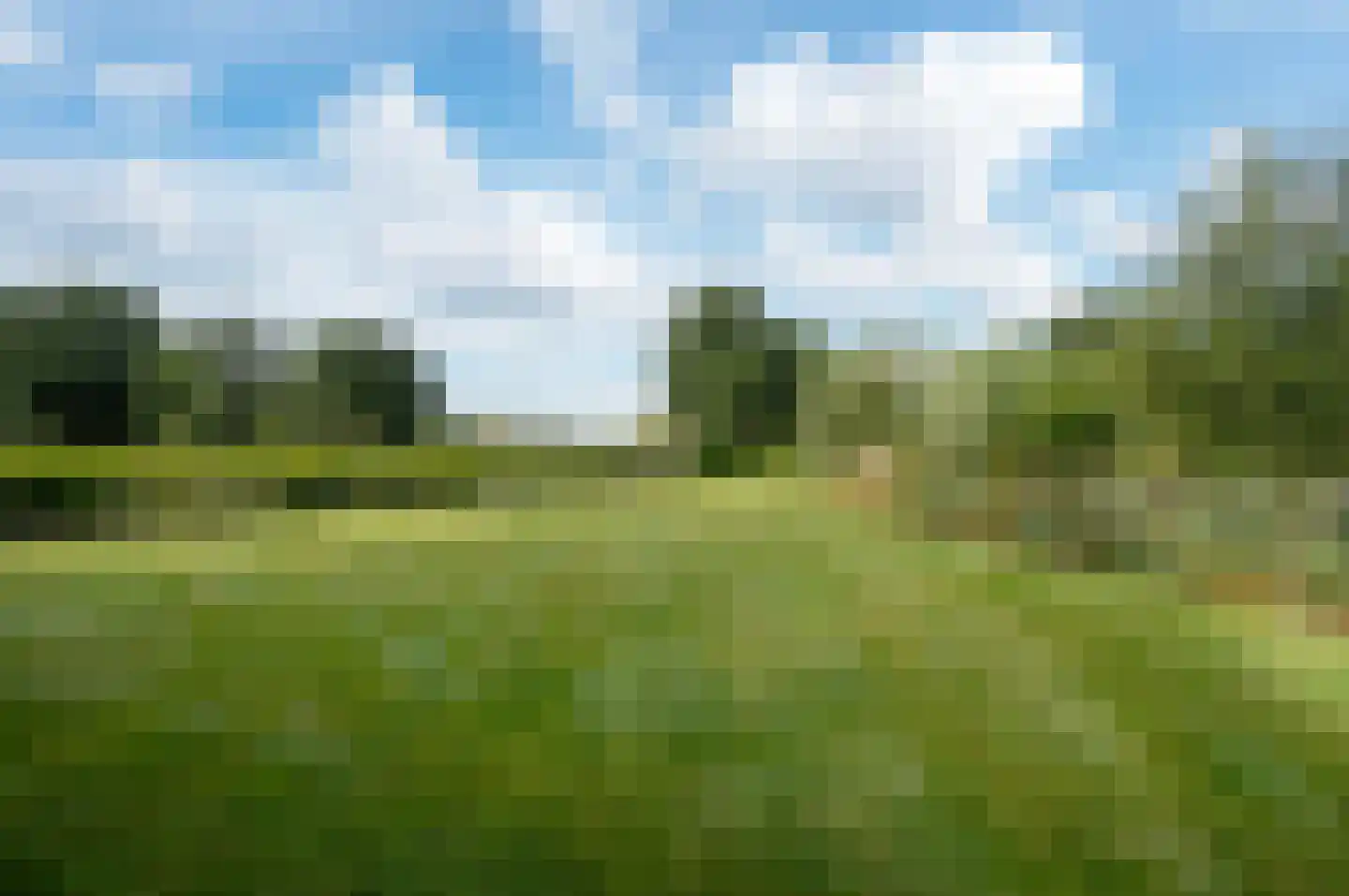 Coretta Scott Kingweg 7 Almere thumbnail 22