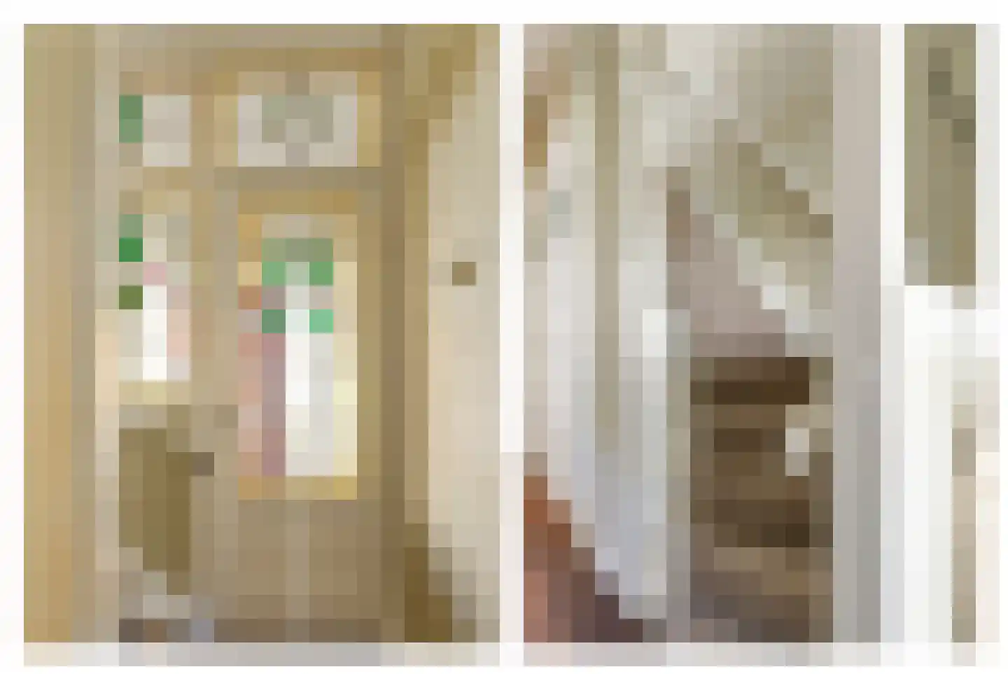 Corfstraat 14 Alkmaar thumbnail 32