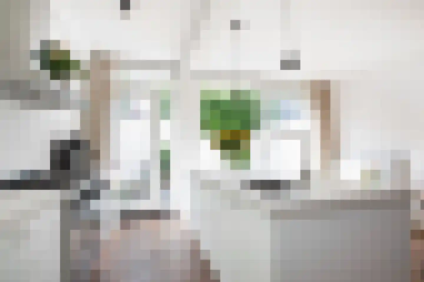 Corfstraat 28 Alkmaar thumbnail 21