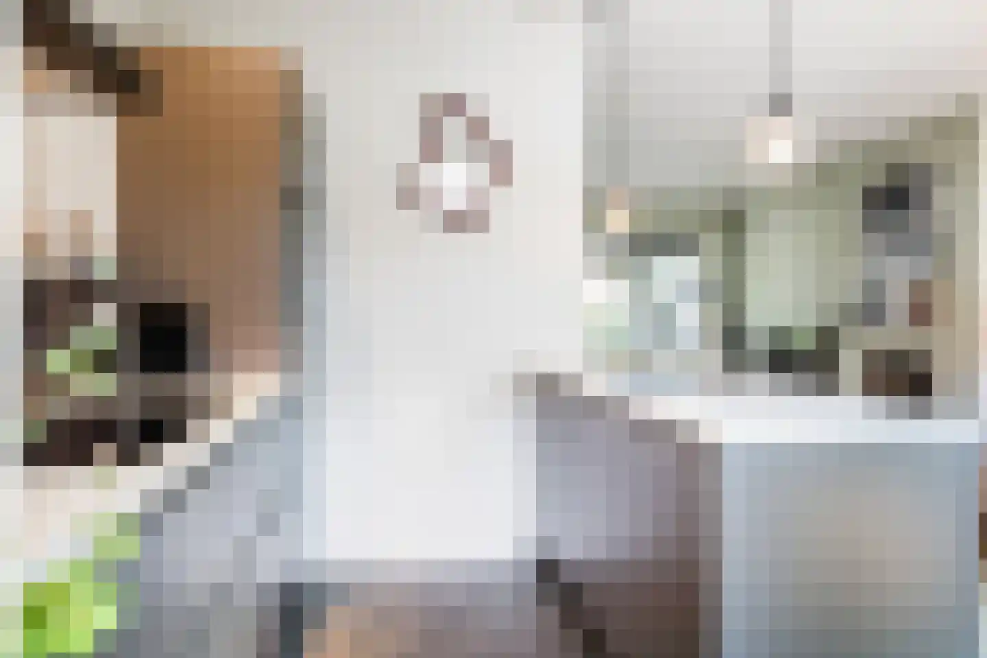 Corfstraat 35 Alkmaar thumbnail 17