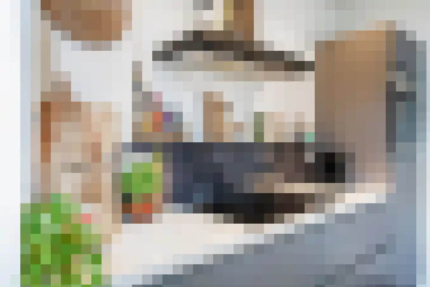 Corfstraat 35 Alkmaar thumbnail 18