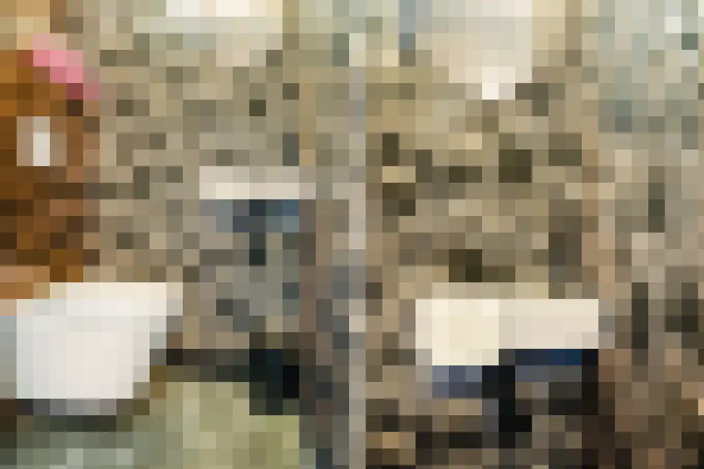 Corfstraat 35 Alkmaar thumbnail 20