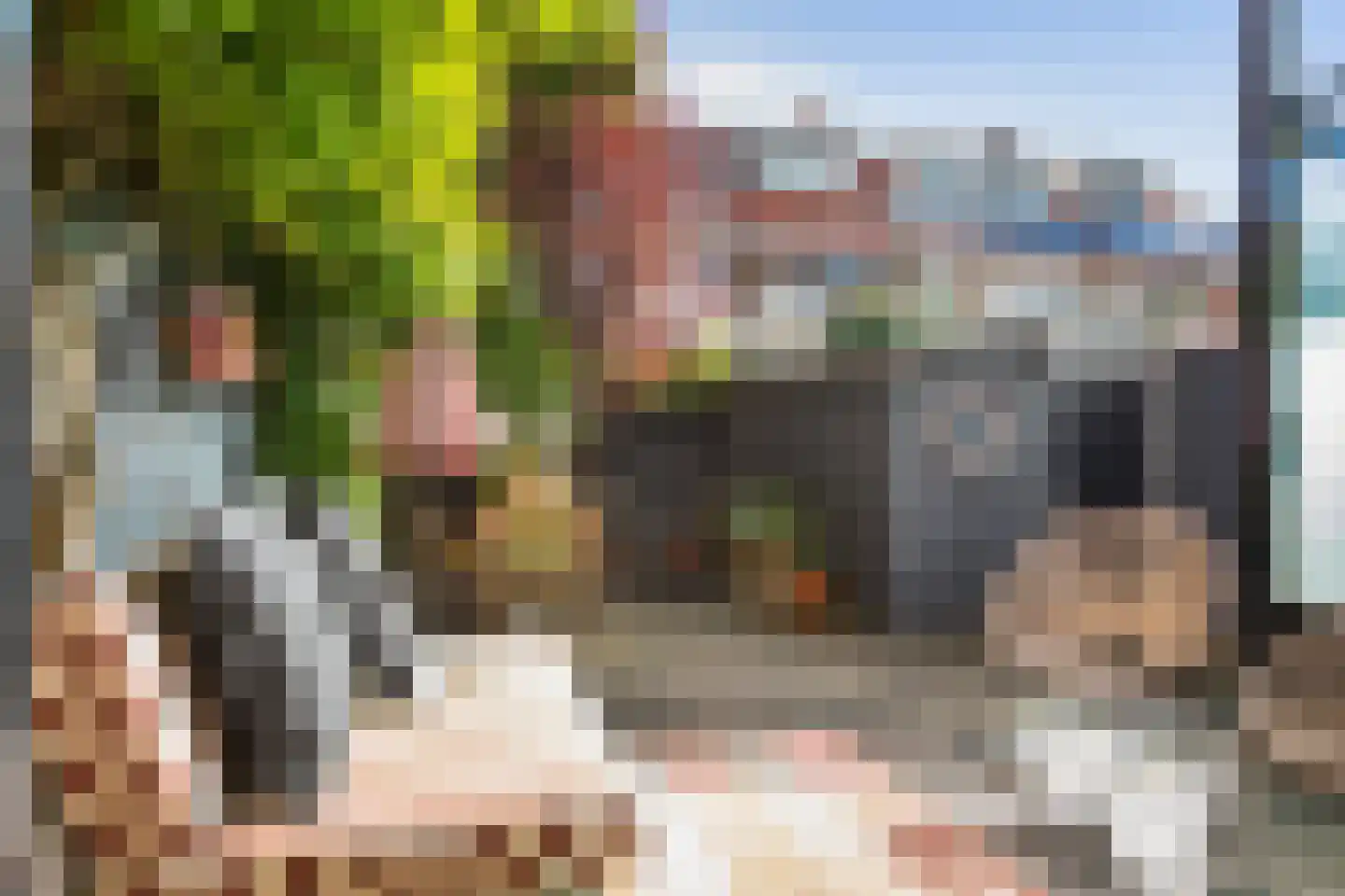Corfstraat 35 Alkmaar thumbnail 32
