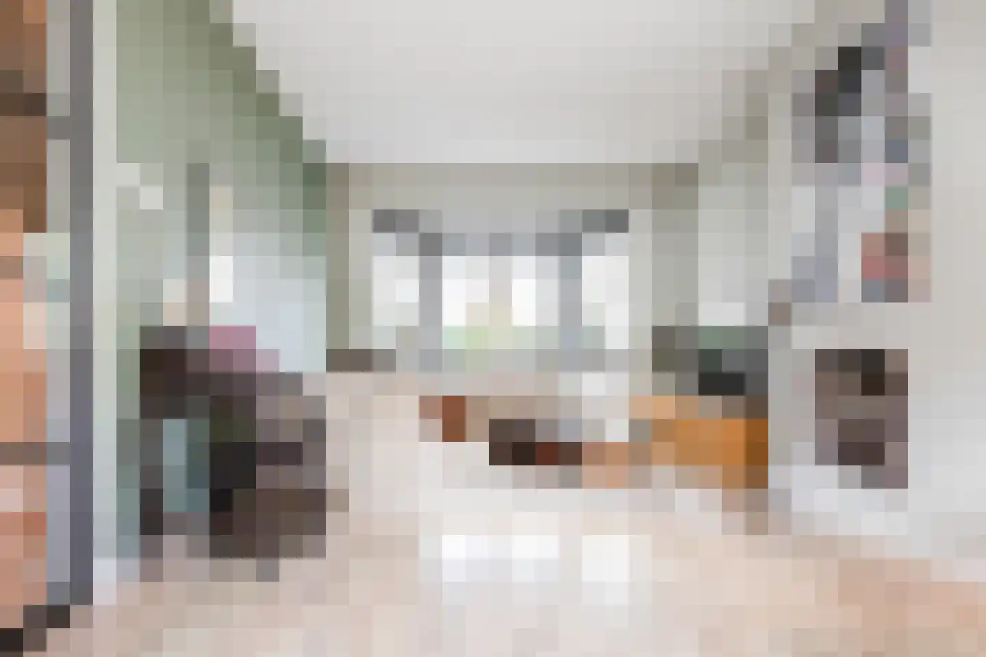 Corfstraat 35 Alkmaar thumbnail 8