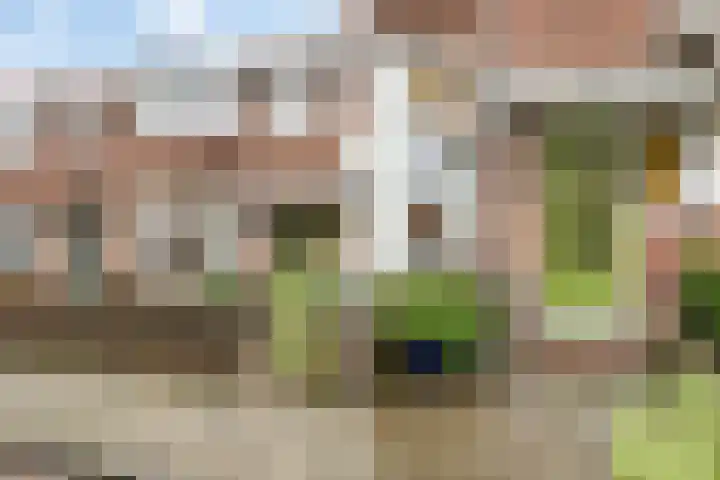 Corfstraat 43 Alkmaar thumbnail 8