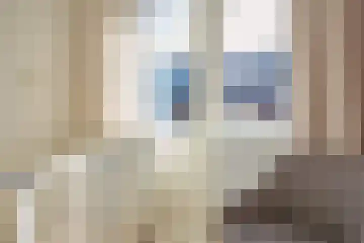 Corfstraat 57 Alkmaar thumbnail 38