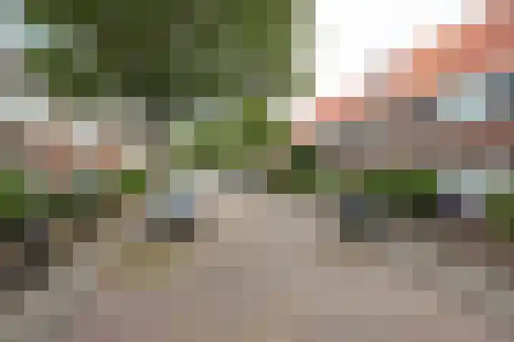 Corfstraat 57 Alkmaar thumbnail 6