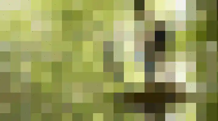 Corio Center 211 Heerlen thumbnail 10