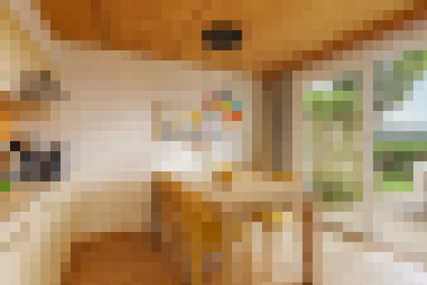 Corio Center 430 Heerlen foto 3