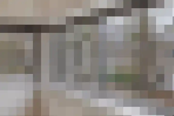 Coriolanuspad 1 D Eindhoven thumbnail 24