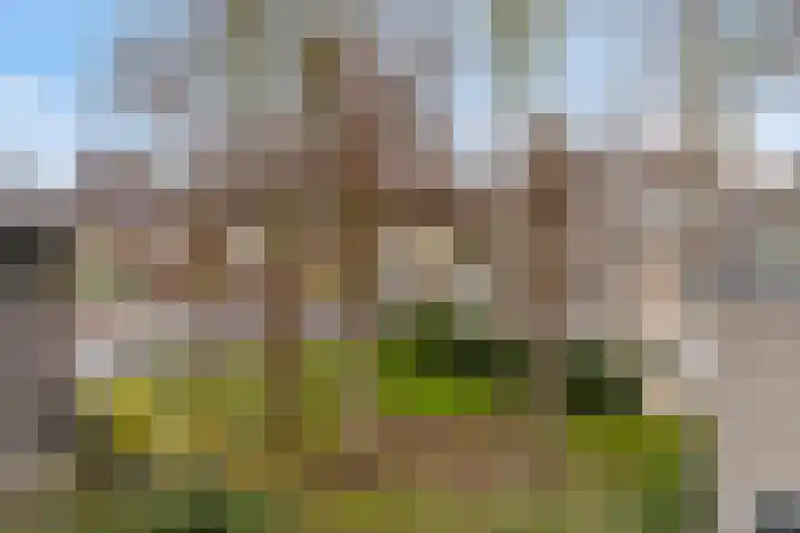 Coriolanuspad 1 D Eindhoven thumbnail 39
