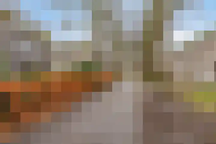 Coriolanuspad 1 D Eindhoven thumbnail 4