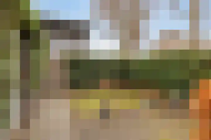 Coriolanuspad 1 D Eindhoven thumbnail 48