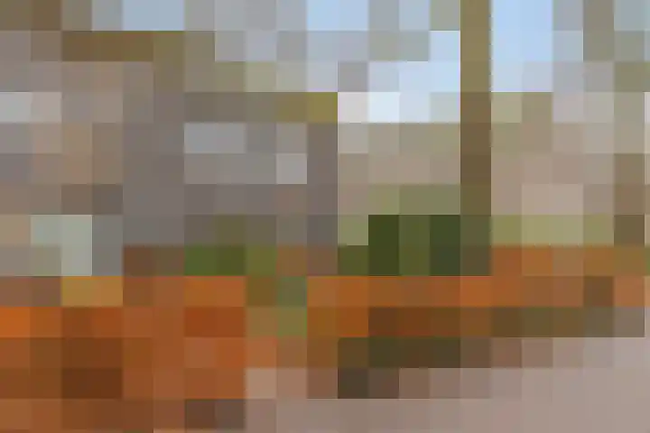 Coriolanuspad 1 D Eindhoven thumbnail 5
