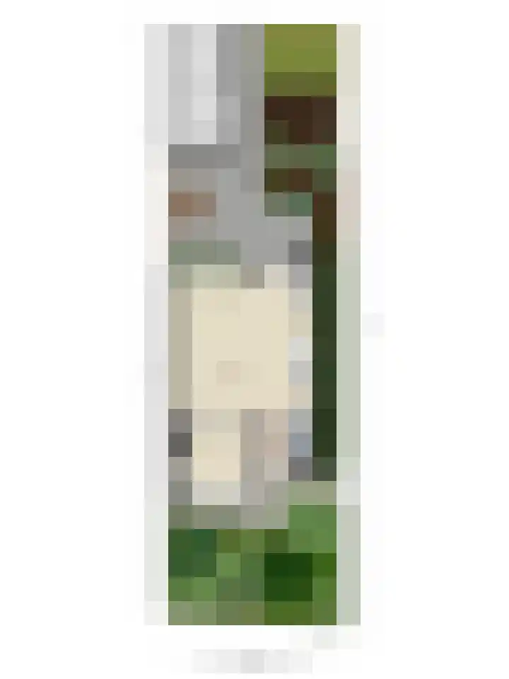 Coriolanuspad 1 D Eindhoven thumbnail 57